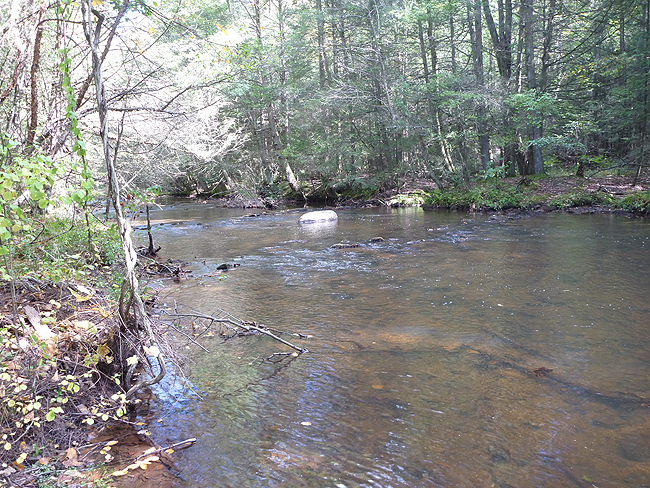 Low after several inches of rain.JPG